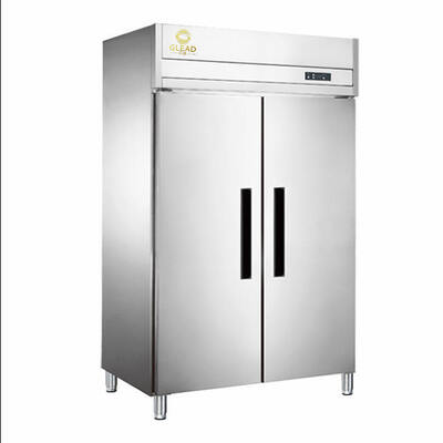 OEM ODM Upright Freezer Fridge Commercial Blast Refrigerator Deep Ice Cream Freezer